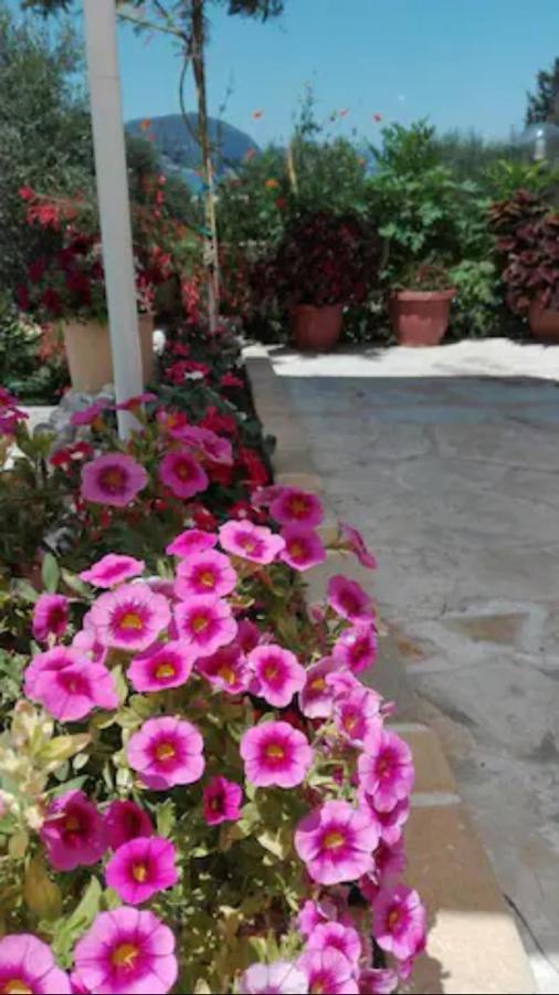 Armonia Apartments Corfu  Eksteriør bilde